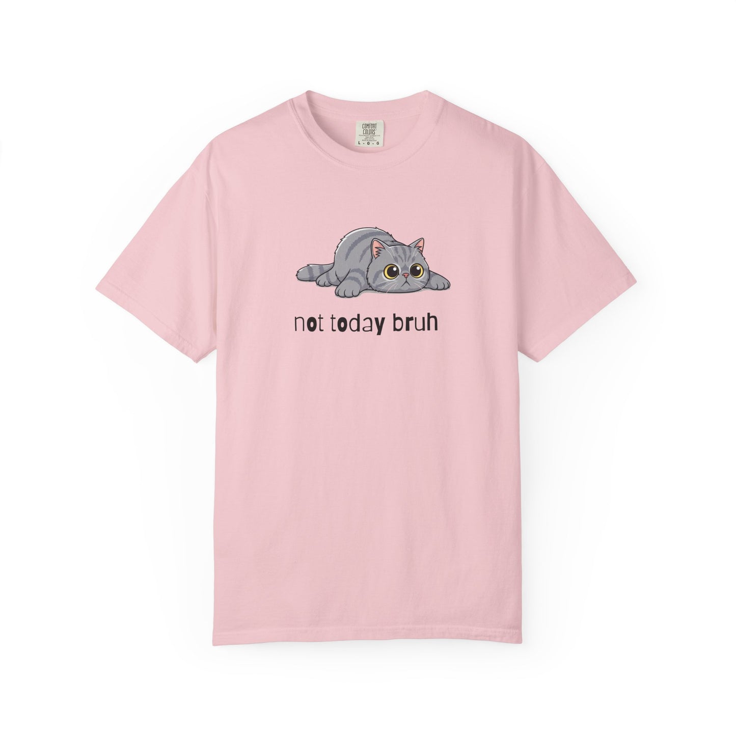 Persian Not Today Bruh T-Shirt