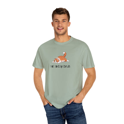 Long hair bi-color orange cat Not Today Bruh T-Shirt