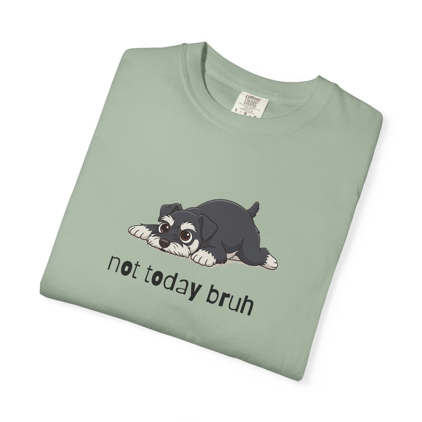 Schnauzer Not Today Bruh T-Shirt