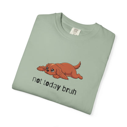 Cavalier Not Today Bruh T-Shirt