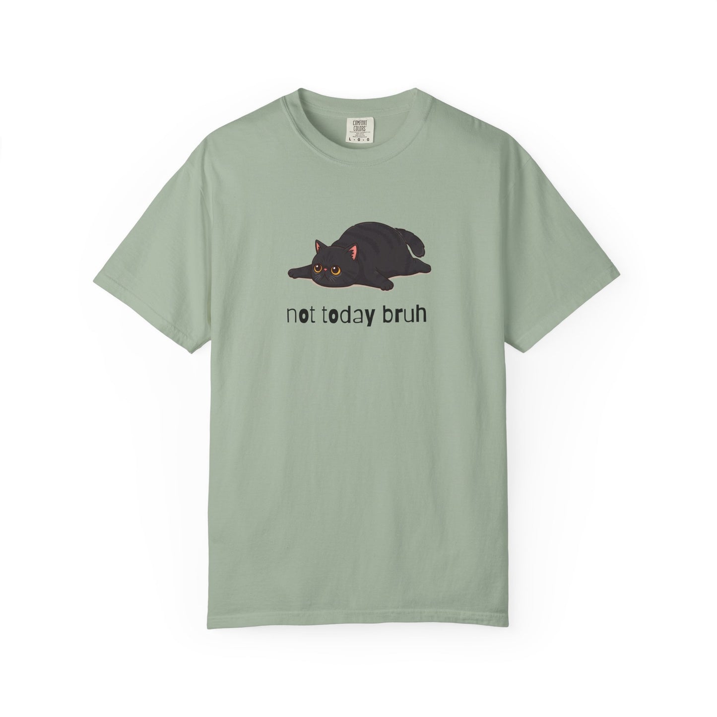 Exotic Shorthair Not Today Bruh T-Shirt