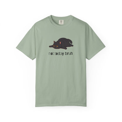 Exotic Shorthair Not Today Bruh T-Shirt