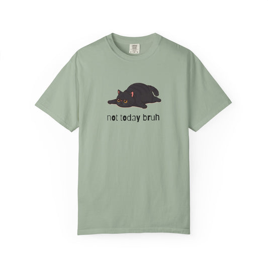 Exotic Shorthair Not Today Bruh T-Shirt