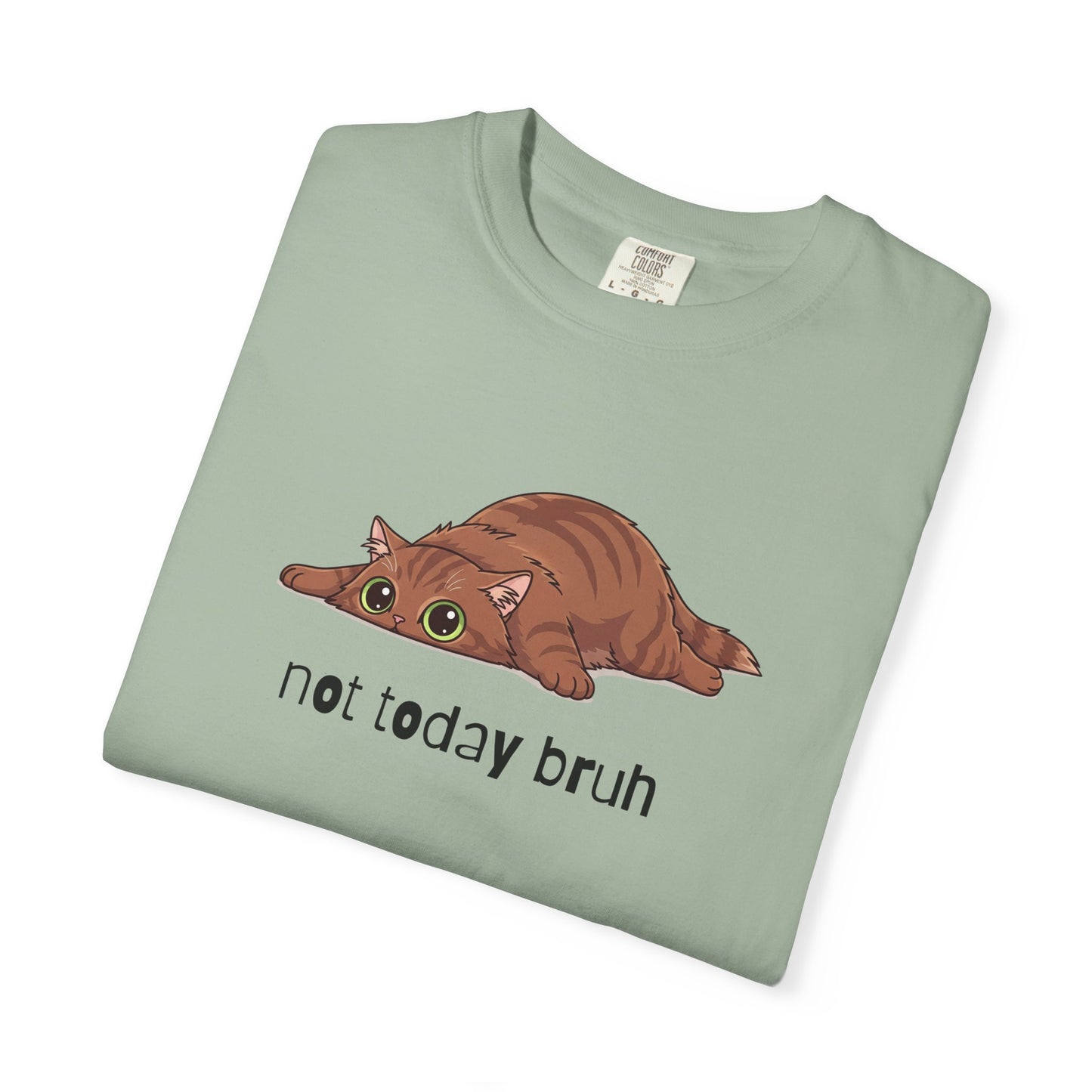 Long hair brown cat Not Today Bruh T-Shirt