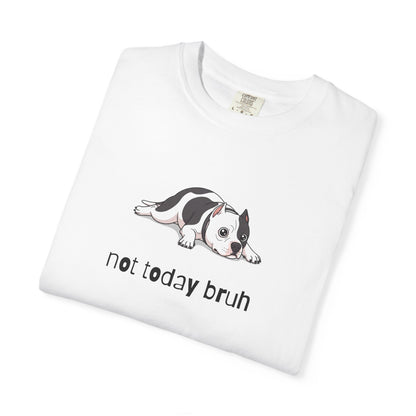 Pitbull Not Today Bruh T-Shirt
