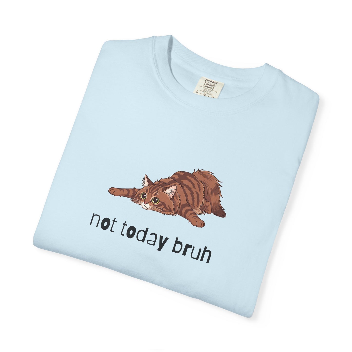 Long hair brown tabby cat Not Today Bruh T-Shirt