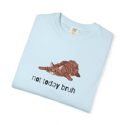 Long hair brown tabby cat Not Today Bruh T-Shirt