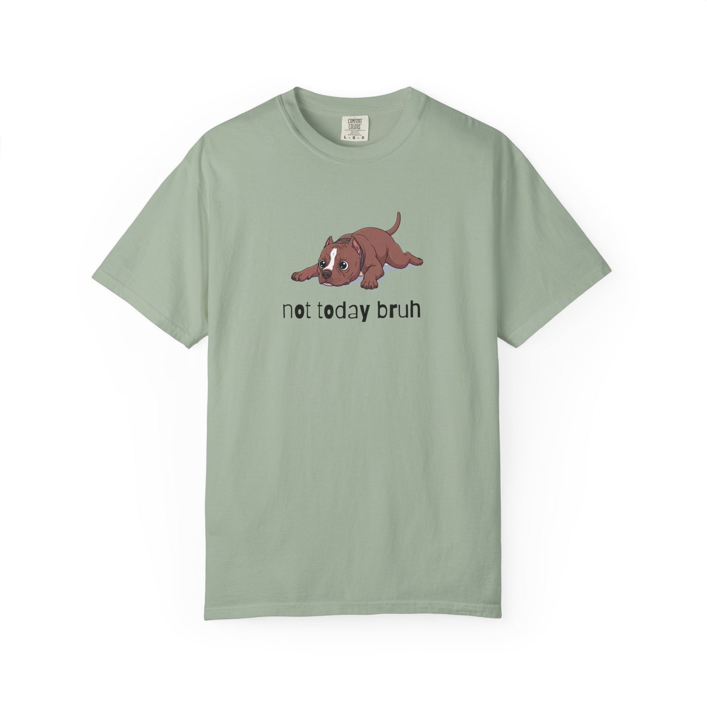 Pitbull Not Today Bruh T-Shirt