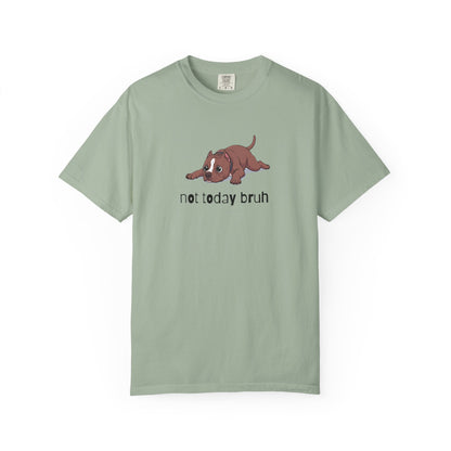 Pitbull Not Today Bruh T-Shirt