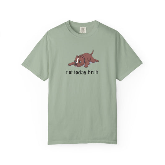 Pitbull Not Today Bruh T-Shirt