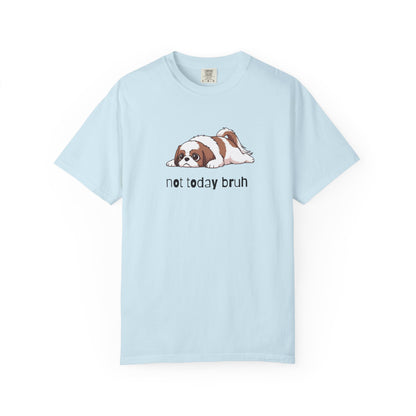 Shih Tzu Not Today Bruh T-Shirt