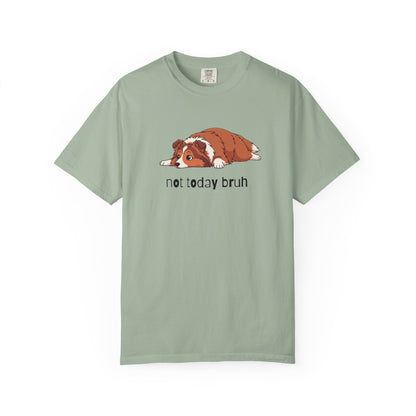 Sheltie Not Today Bruh T-Shirt