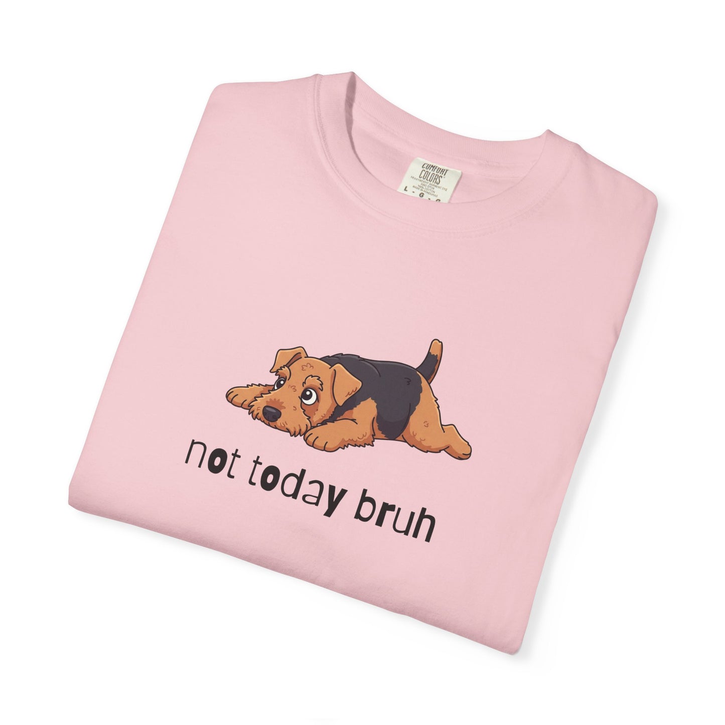 Welshie Not Today Bruh T-Shirt