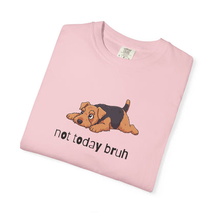 Welshie Not Today Bruh T-Shirt