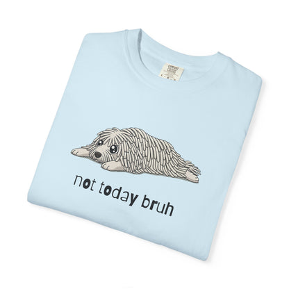 Komondor Not Today Bruh T-Shirt