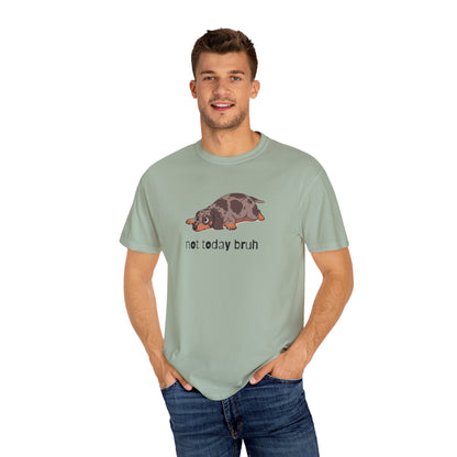 Dacshund Not Today Bruh T-Shirt