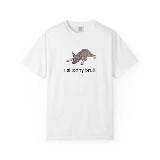 Hairless Dog Not Today Bruh T-Shirt