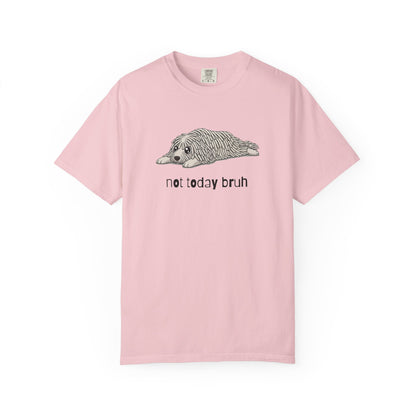 Komondor Not Today Bruh T-Shirt