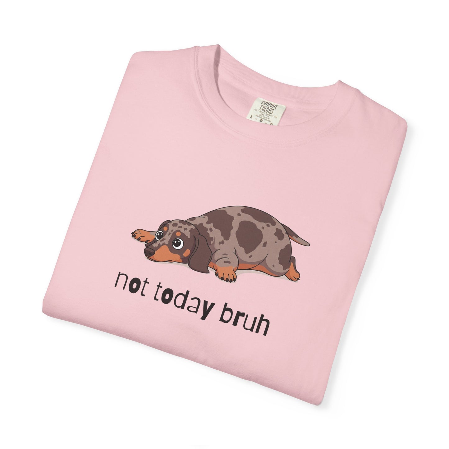 Dacshund Not Today Bruh T-Shirt