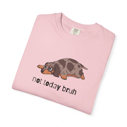 Dacshund Not Today Bruh T-Shirt