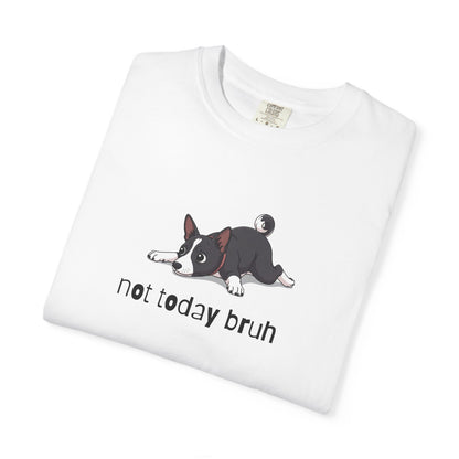 Basenji Not Today Bruh T-Shirt