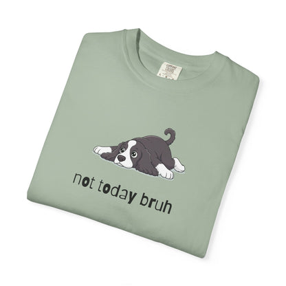 Spaniel Not Today Bruh T-Shirt