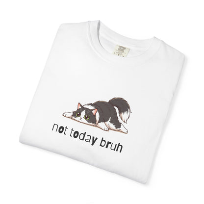 Long hair tuxedo cat Not Today Bruh T-Shirt