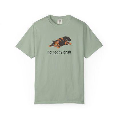 Long hair chimera cat Not Today Bruh T-Shirt