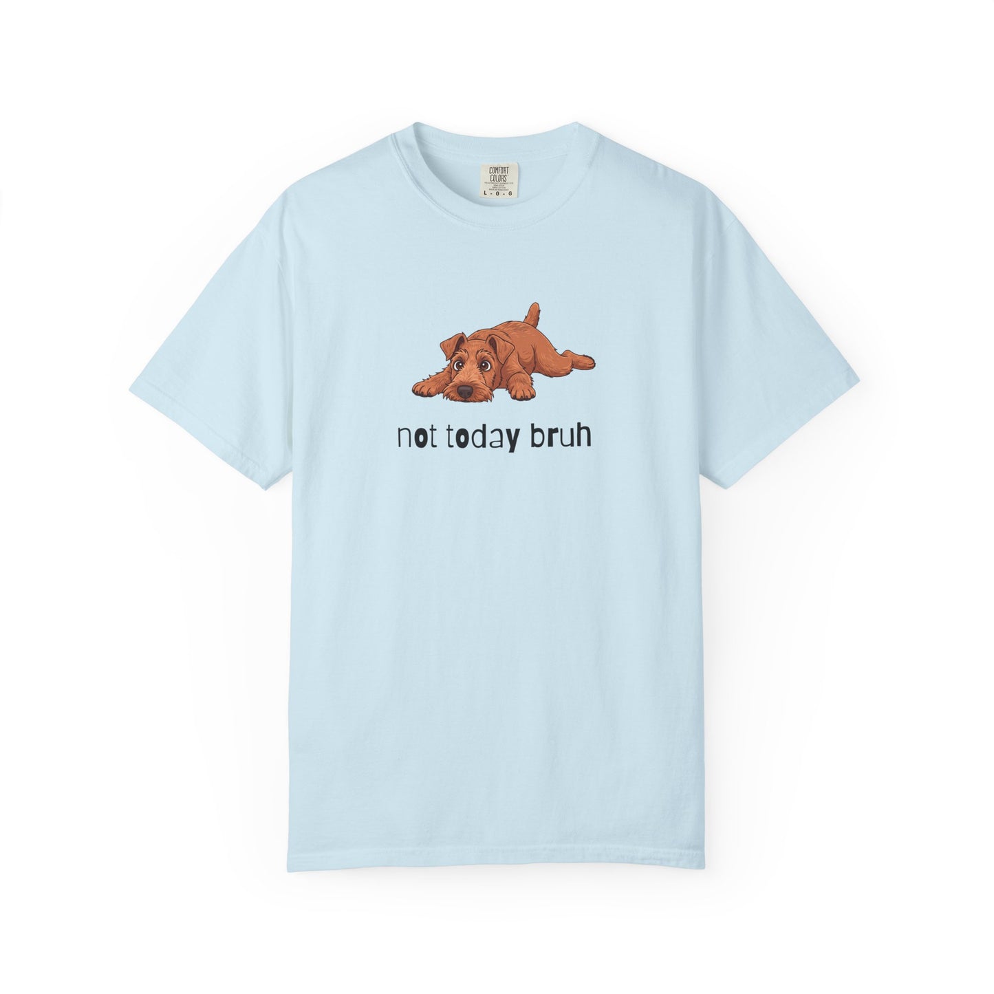 Irish Terrier Not Today Bruh T-Shirt