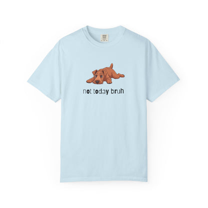 Irish Terrier Not Today Bruh T-Shirt