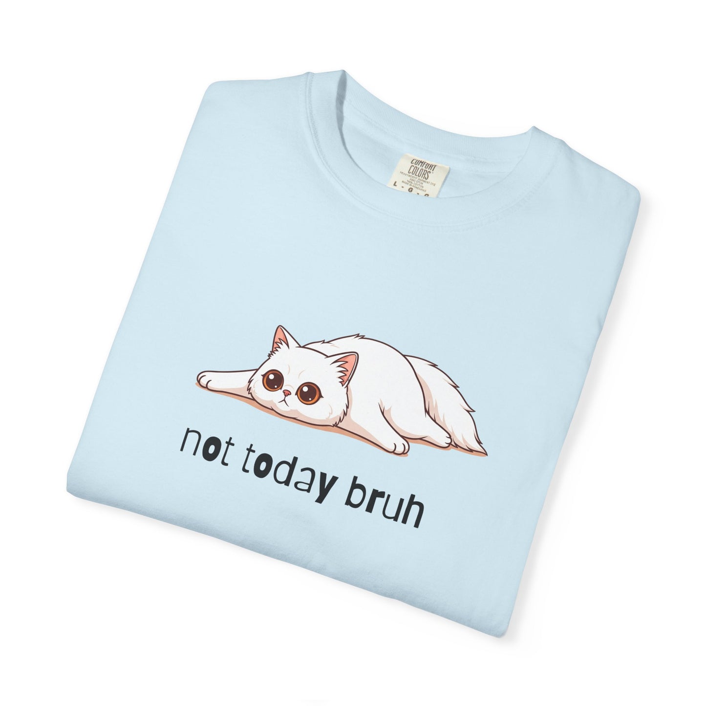 Persian Not Today Bruh T-Shirt