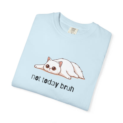 Persian Not Today Bruh T-Shirt