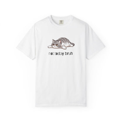 Exotic Shorthair Not Today Bruh T-Shirt
