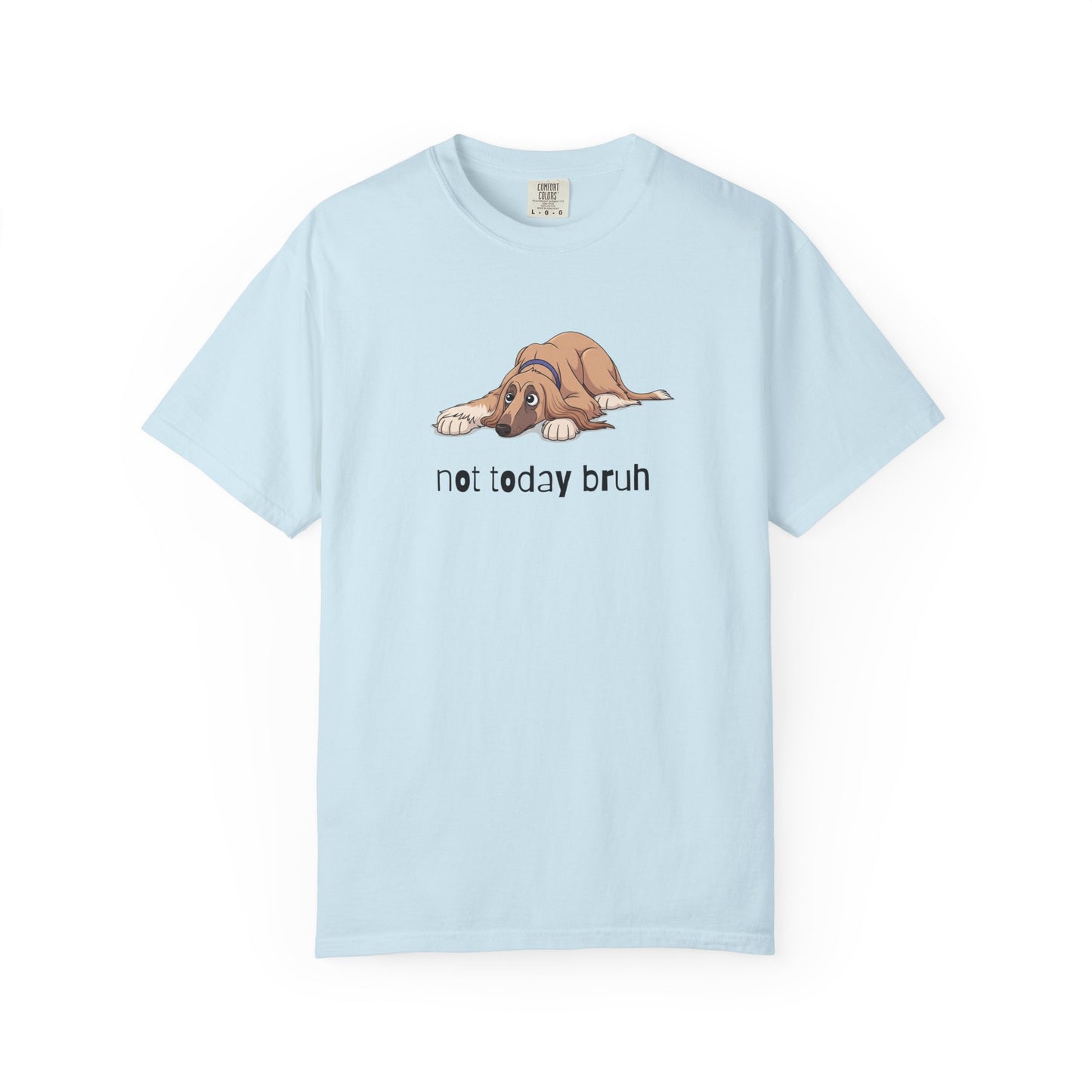 Afghan Hound Not Today Bruh T-Shirt