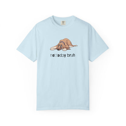Afghan Hound Not Today Bruh T-Shirt