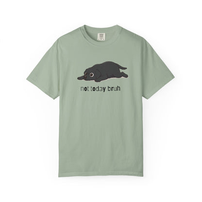 Labrador Not Today Bruh T-Shirt