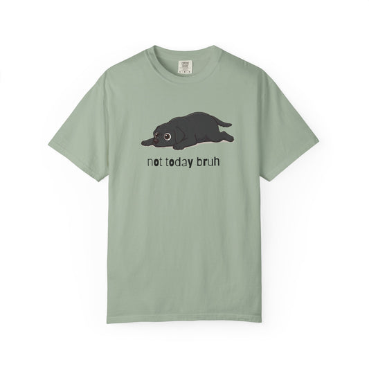 Labrador Not Today Bruh T-Shirt