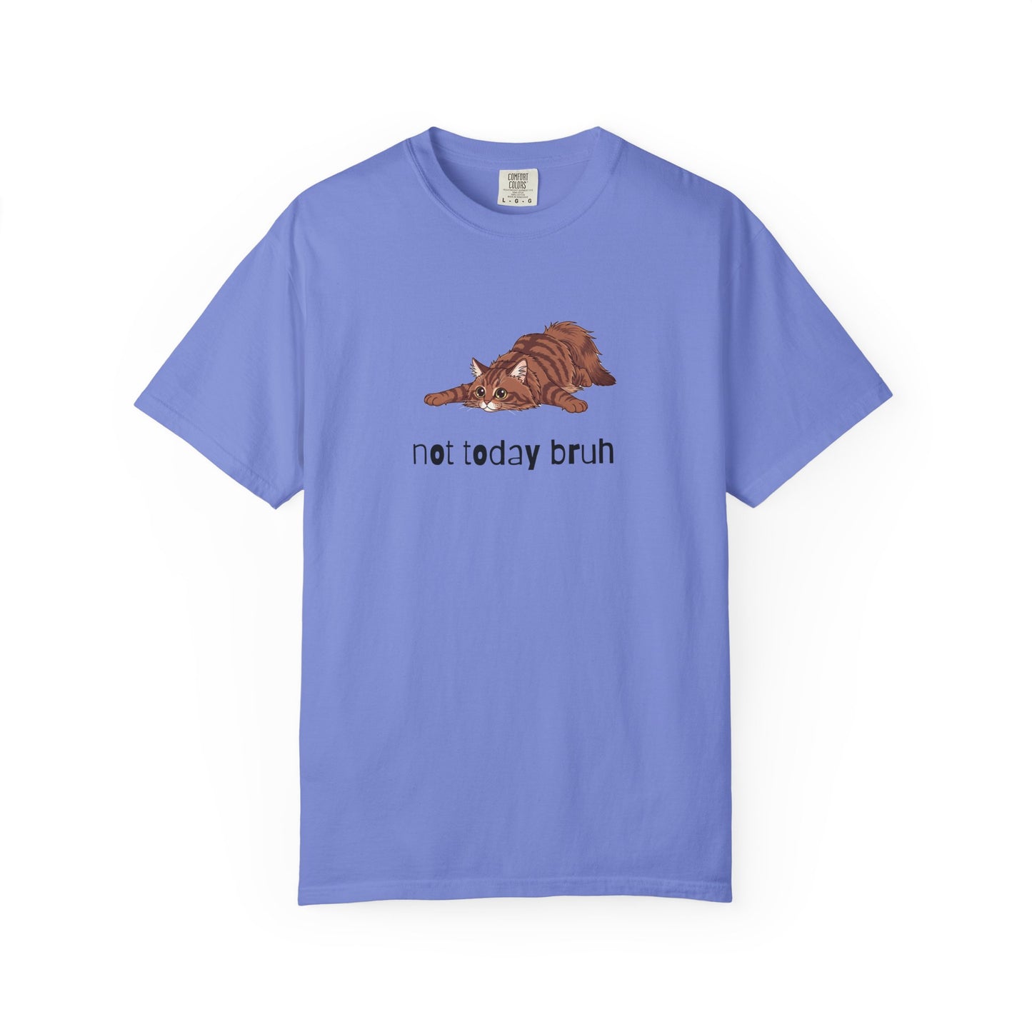 Long hair brown tabby cat Not Today Bruh T-Shirt