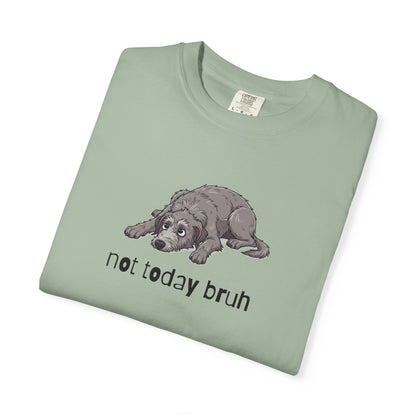 Scottish Deerhound Not Today Bruh T-Shirt