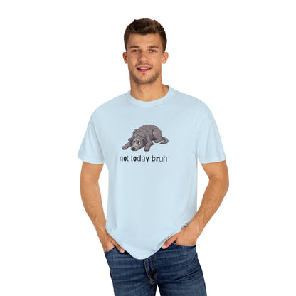 Scottish Deerhound Not Today Bruh T-Shirt