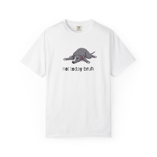 Greyhound Not Today Bruh T-Shirt