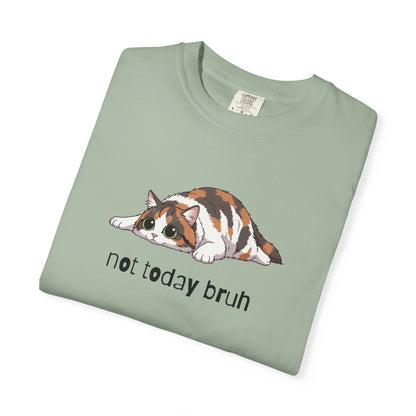 Long hair calico cat Not Today Bruh T-Shirt