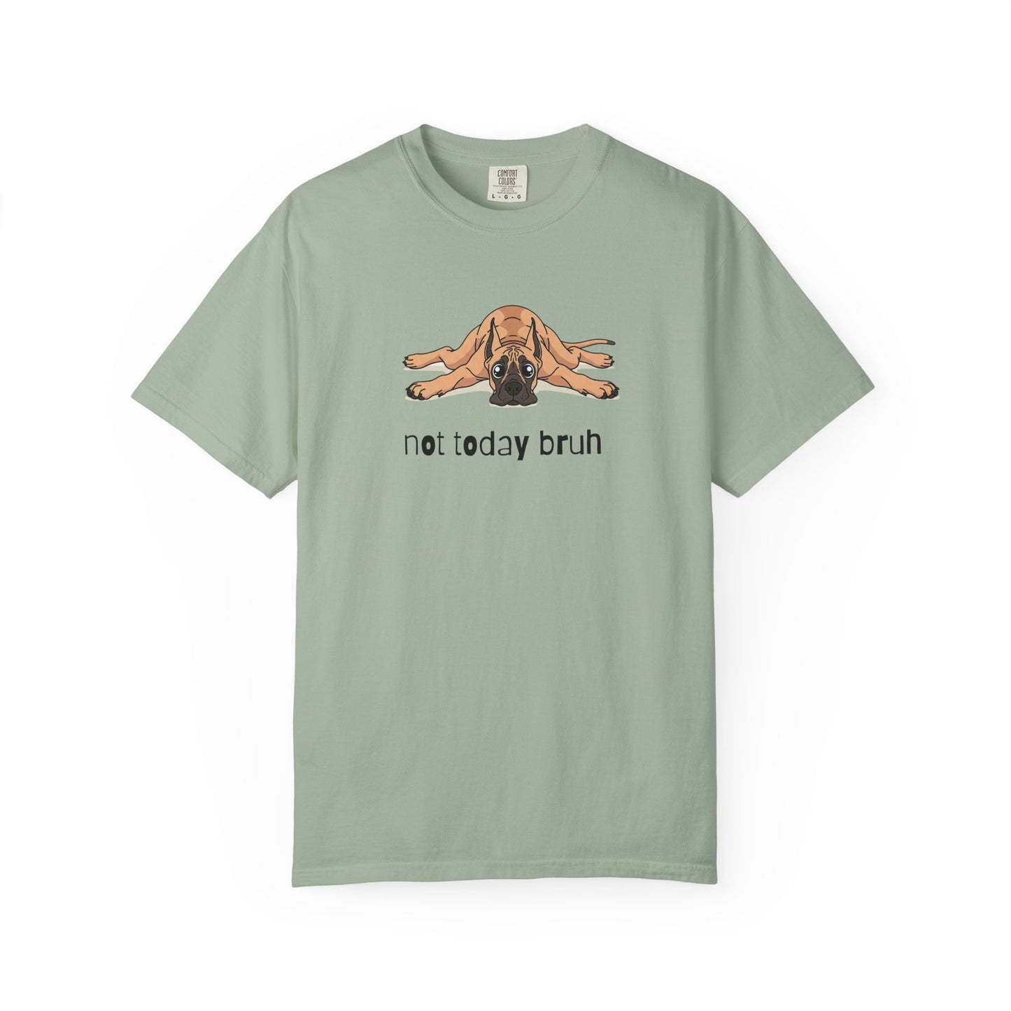Great Dane Not Today Bruh T-Shirt