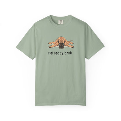 Great Dane Not Today Bruh T-Shirt