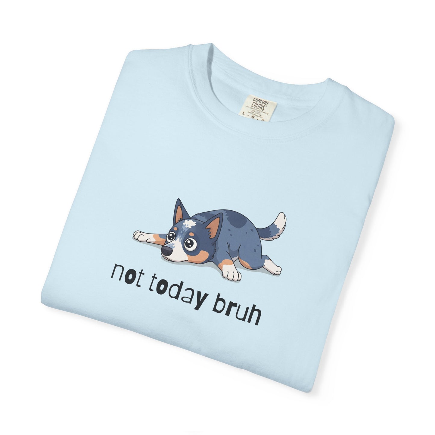 Blue Heeler Not Today Bruh T-Shirt