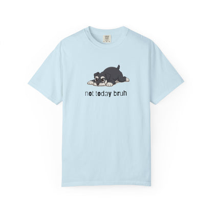 Schnauzer Not Today Bruh T-Shirt