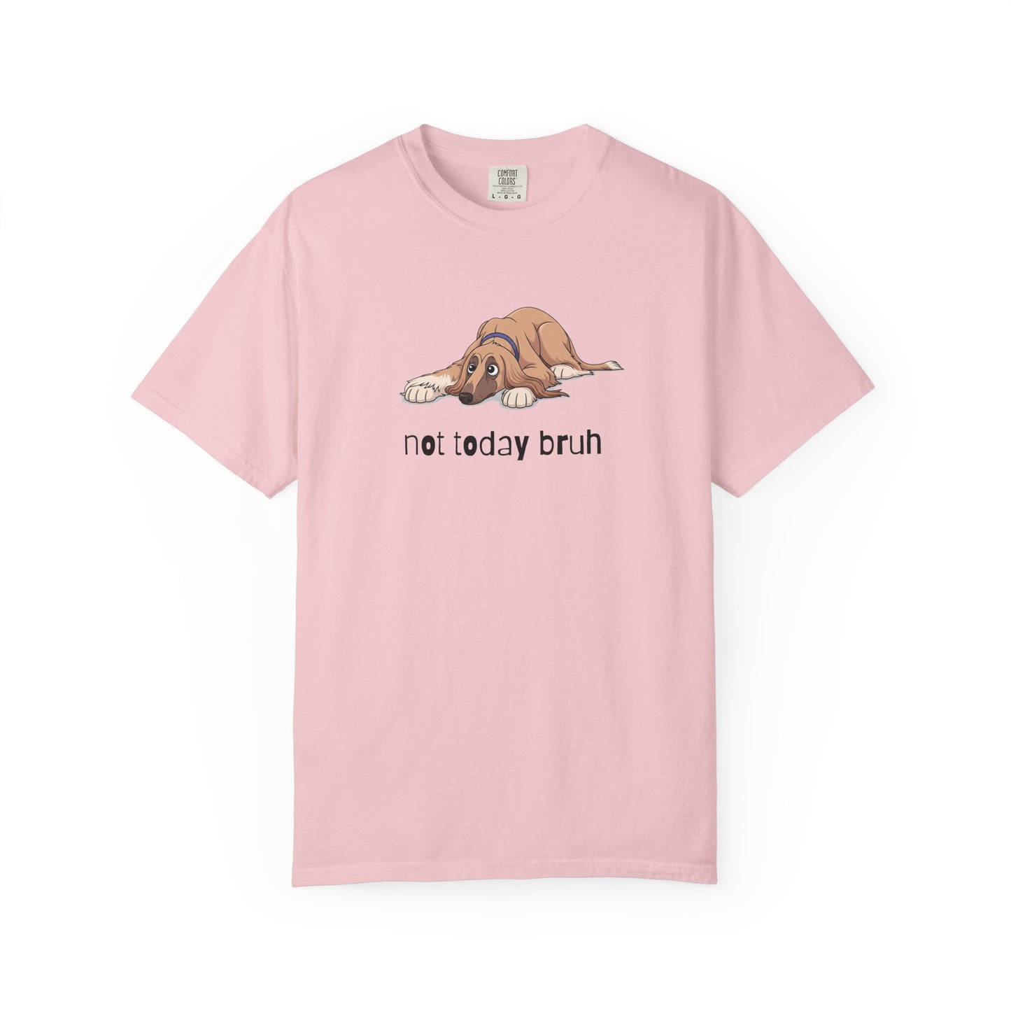 Afghan Hound Not Today Bruh T-Shirt