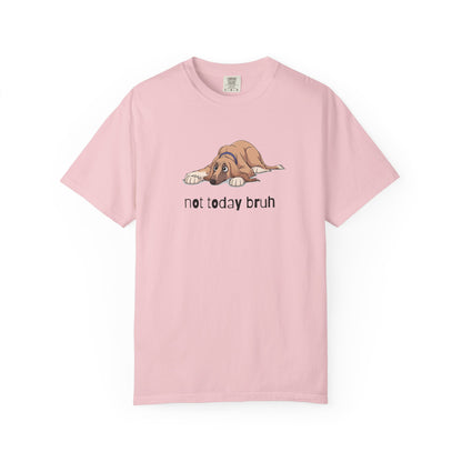 Afghan Hound Not Today Bruh T-Shirt