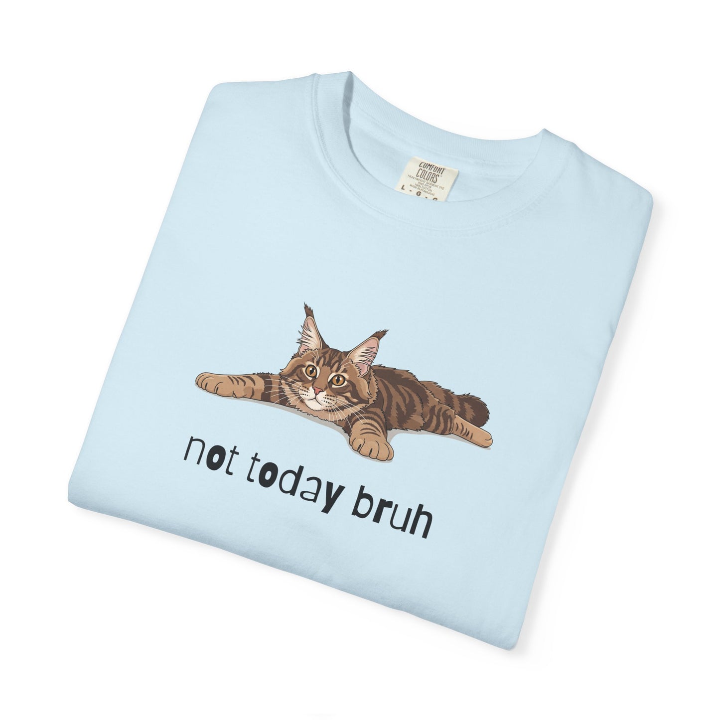 Maine Coon Not Today Bruh T-Shirt