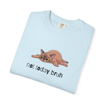 Short hair brown cat Not Today Bruh T-Shirt